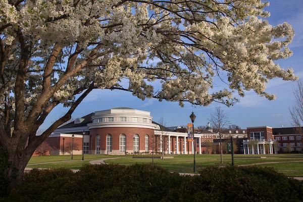 Walter Hall and a blossoming cherry tree