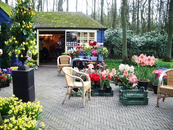 Chairs and flowers